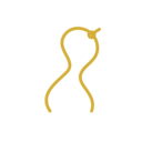 Naga