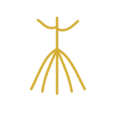 Mula