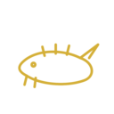 Makara