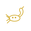 Vrischika