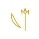 Chaturdashi