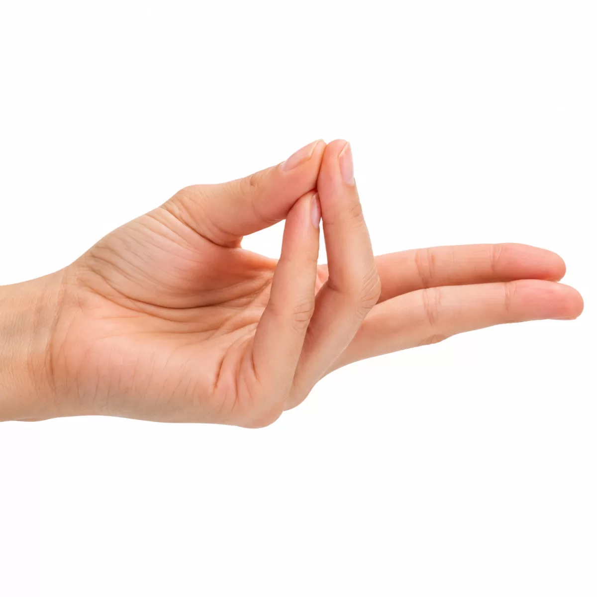 Prana Mudra